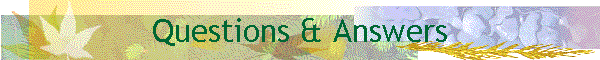Questions & Answers